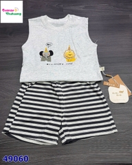 Set bộ xám voi & sư tử