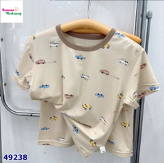 Bộ tencel W nâu nhiều xe