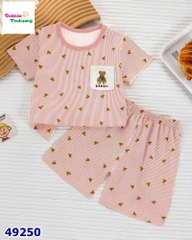 Bộ Q sọc hồng gấu nâu