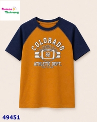 Áo thun nâu tay xanh colorado