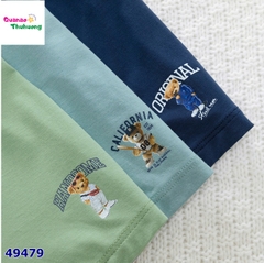Set 3 chip Papa hình gấu
