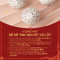 Vòng Tay Bồ Đề Tinh Nguyệt Tự Nhiên - 8mm