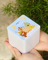 Hộp bánh quy Dreamy