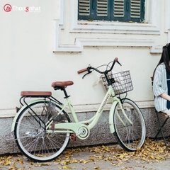 Xe đạp phổ thông LD 26 (Pastel)