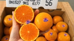 Nạp trọn năng lượng tươi mới cùng quýt Citrus da mỏng size 56 - dòng trái cây nhập khẩu tươi ngon