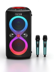 Infinity 110Plus - Loa di động bluetooth