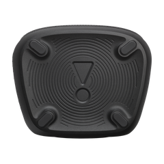 JBL PartyBox Encore 2 - 2 Mics