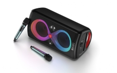 Infinity 110Plus - Loa di động bluetooth