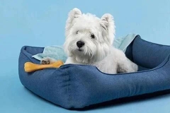 Top 8 chuồng chó Poodle bền và thích hợp nhất năm