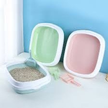 chậu vệ sinh to thành cao