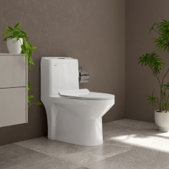 Bàn cầu một khối S301