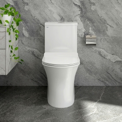 Bàn cầu một khối S302
