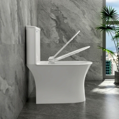 Bàn cầu một khối S302