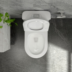 Bàn cầu một khối S302