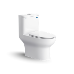 Bàn cầu một khối V64