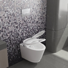 Bàn cầu treo tường V909D - BST SAPA