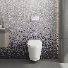 Bàn cầu treo tường V909D - BST SAPA