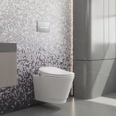 Bàn cầu treo tường V909D - BST SAPA