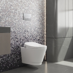 Bàn cầu treo tường V909D - BST SAPA