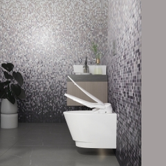 Bàn cầu treo tường V909D - BST SAPA