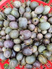 Combo 3kg chanh leo chín tím tự nhiên