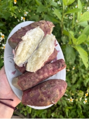CHỈ BÁN TẠI HÀ NỘI - Combo khoai lang bở 4kg TẶNG 1kg