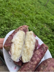 CHỈ BÁN TẠI HÀ NỘI - Combo khoai lang bở 4kg TẶNG 1kg