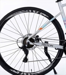 Xe đạp đua Fascino TRITON màu Ghi Sứ