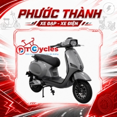 Xe điện JVC VERAS màu Xám Bóng