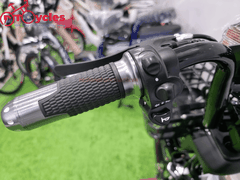 Xe điện Sonsu ECO Sườn cổ điển 18 màu Đỏ