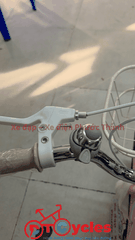 Xe đạp trẻ em nữ Fornix ZN16 màu Hồng Nhạt