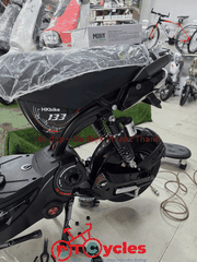 Xe điện Pega M133 màu Đen