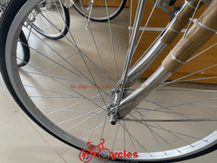 Xe đạp đường phố PTCYCLES Cào Cào 660 - 26 INOX