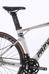 Xe đạp đua PAPYLUS PR760 màu Vàng Đồng
