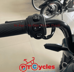 Cap A AVA LUXURY màu Xanh vỏ dưa