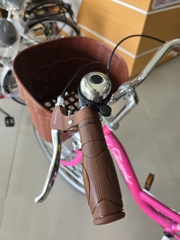 Xe đạp nữ Thống Nhất New 24 2026 màu Hồng