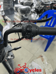 Xe điện Pega M133 màu Đen