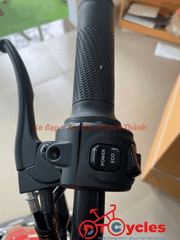Cap A AVA LUXURY màu Đỏ Đô