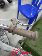 Xe đạp trẻ em nữ FUJISAN Sườn thiên nga 20 màu Xanh Mạ