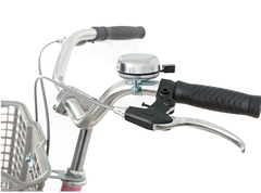 Xe đạp nữ ASAMA BREEZE 24 màu Hồng