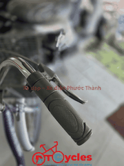 Xe đạp nữ PTCYCLES Windows 580 Sườn đơn thiên nga màu Tím