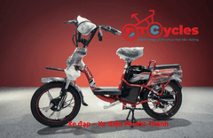 Xe điện Sonsu ECO Sườn cổ điển 18 màu Đỏ