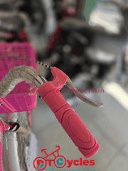 Xe đạp nữ PTCYCLES Windows 580 Sườn đơn thiên nga màu Hồng