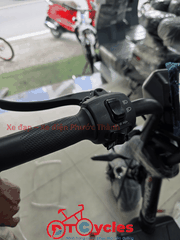 Xe điện Pega M133 màu Đen