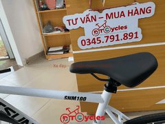 Xe đạp Fixed Gear PTCYCLES SNM100 màu Trắng