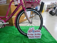 Xe đạp nữ AVA sườn đôi gọng nước 24 màu Hồng