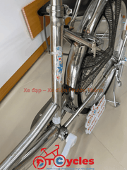 Xe đạp nữ PTCYCLES Windows 580 Sườn đơn thiên nga INOX