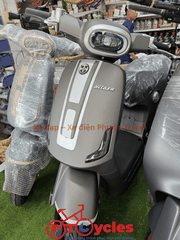 Xe điện Hitasa SANDO màu Xám mờ