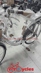 Xe đạp nữ Thống Nhất New 24 2026 màu Trắng