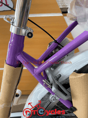 Xe đạp nữ Thống Nhất New 24 2026 màu Tím
